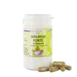 Shilayur forte van Holisan :45 plantaardige capsules