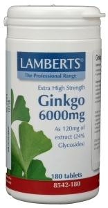 Ginkgo 6000 van Lamberts : 180 tabletten