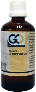 Buxus sempervirens van GO