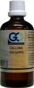 Calluna vulgaris bio van GO