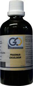 Fraxinus excelsior van GO