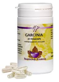 Garcinia (mangosteen) van Holisan :60 plantaardige capsules