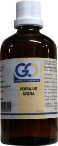 Populus nigra bio van GO