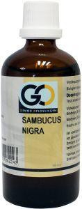 Sambucus nigra bio van GO