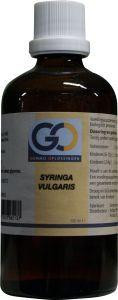 Syringa vulgaris bio van GO 