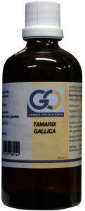 Tamarix gallica bio van GO