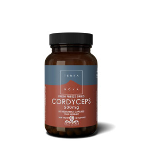 Cordyceps 500 mg van Terranova (50 vcaps) 