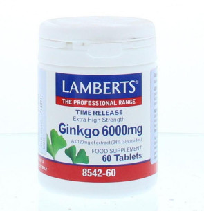 Ginkgo 6000 mg van Lamberts 