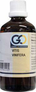 Vitis vinifera bio van GO